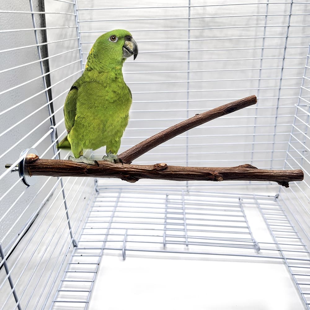 Natural Tree Branch Parrot Perch Stand, Claw Grinding, Resting, Chewing Toy for Bird Cage, Bird Supplies Wholesale