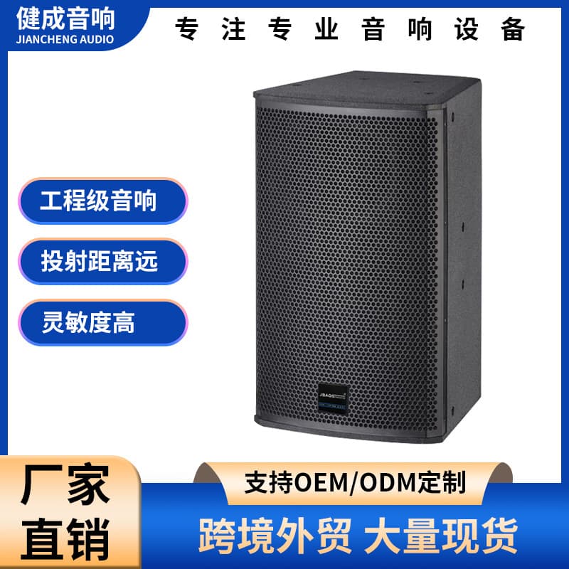 Single 8-inch Professional Sound Speaker for Small to Medium Concerts, Events, Parties, Nightclubs, Bars, and KTV