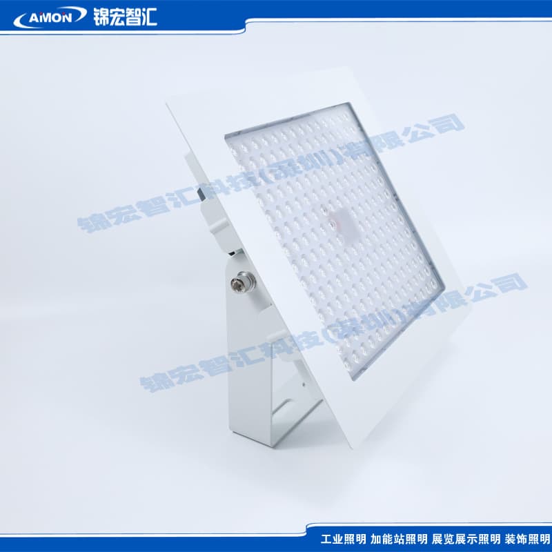 LED Ceiling Light Flood Light Transparent Globe Gym Light Smart Dimming LED Explosion-proof Floodlight High Power Square