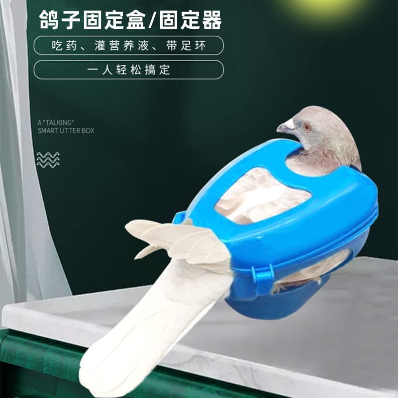 Pigeon Fixer Drug Feeder Carrier Pigeon Auxiliary Liquid Feeder Young Pigeon Drug Feeder Racing Pigeon Injection Fixing Rack Supplies