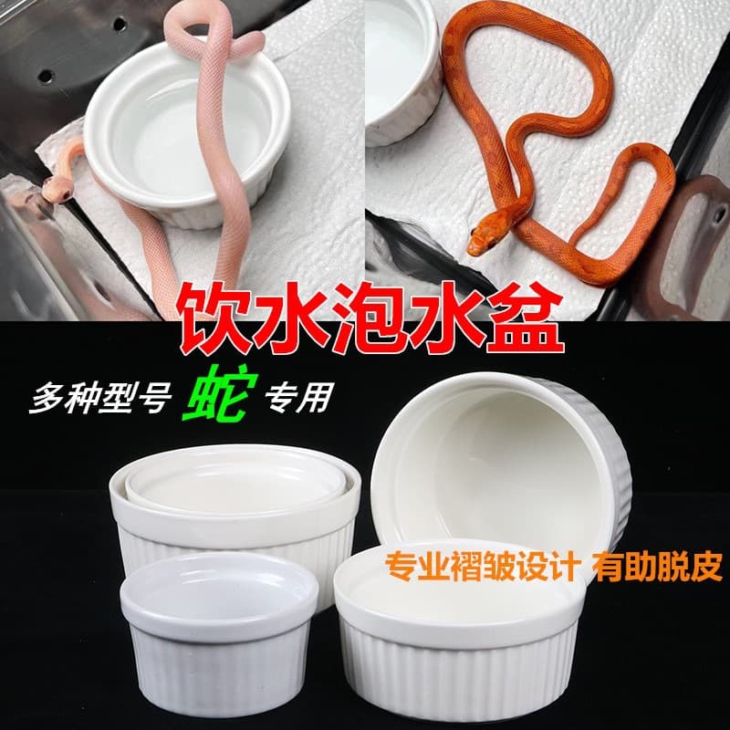 Ceramic Bathing Basin Food Bowl for Reptiles And Amphibians Leopard Gecko Boa Constrictor Spider Snake Pet Care Accessories