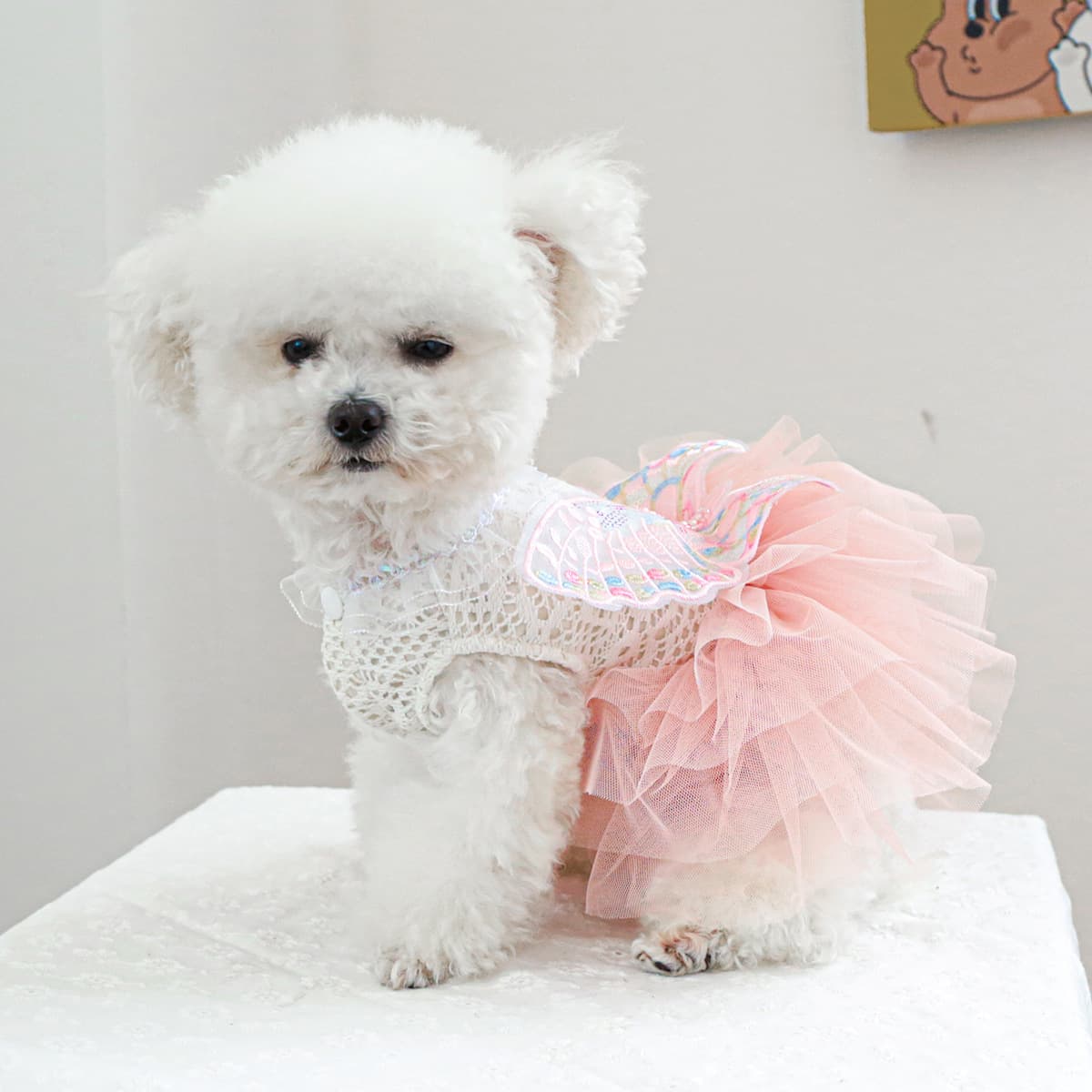 PETCIRCLE Dog Clothes Pet Apparel for Dogs and Cats Cute Butterfly Fairy Tulle Dress