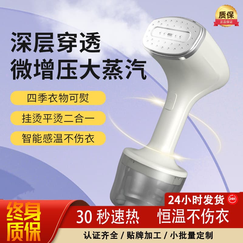 Portable Handheld Steam Iron Machine High Temperature Convenient Travel Home Dormitory Mini Automatic Ironing Machine