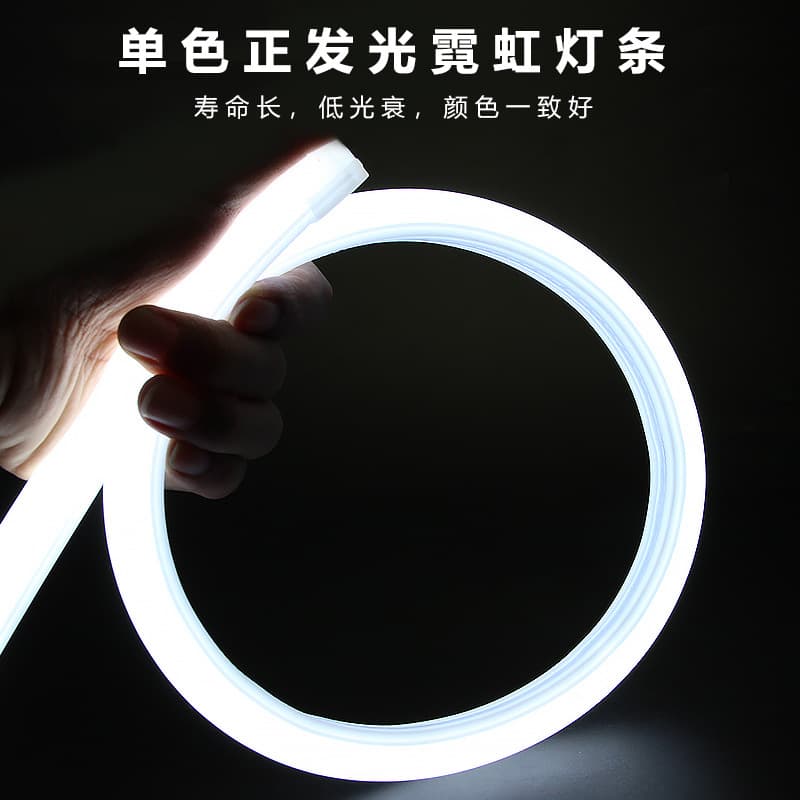 17X16mm outdoor waterproof flexible low voltage LED neon tube DC12V/DC24V customizable LED neon tube