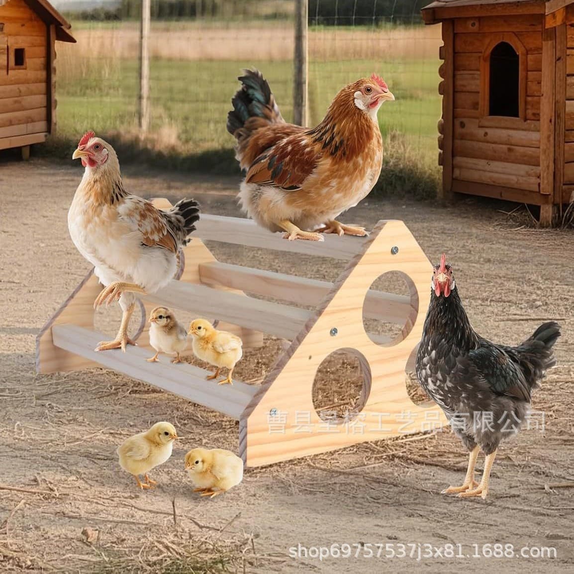 Wholesale Wooden Chicken Cage Pet Chicken Stand Quail Wooden Stand Chinchilla Cage Ruddi Chicken Parrot Hamster Climbing Frame