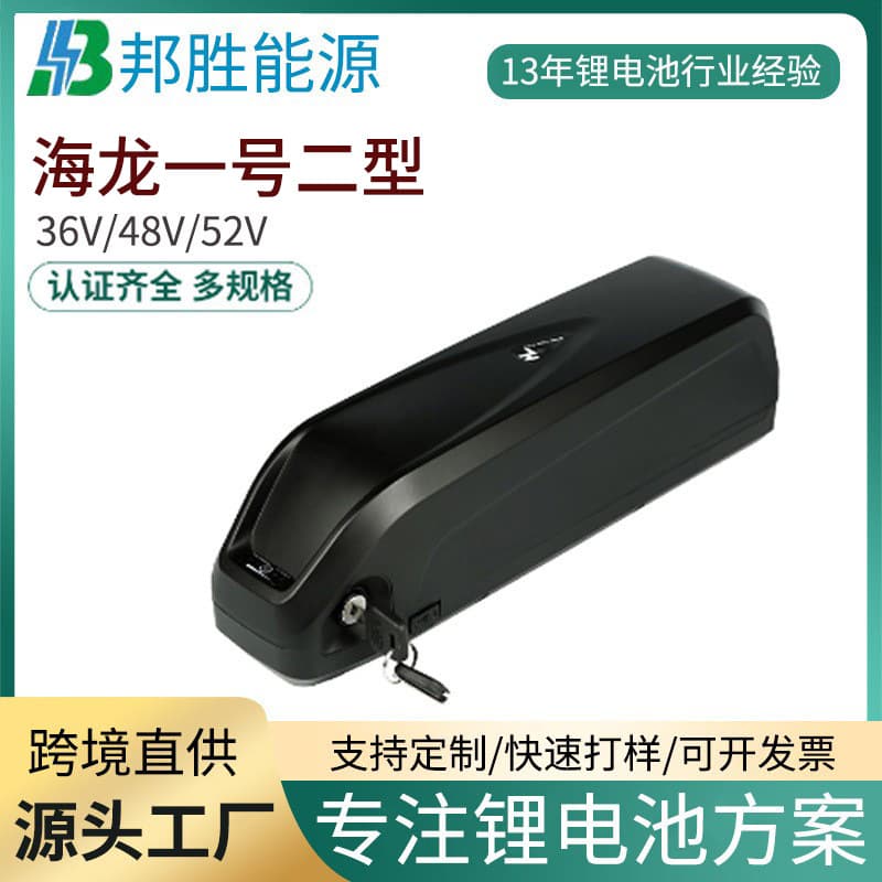 Factory Direct Hailong Lithium Battery Cross-Border Supply 36V 48V 13AH Mountain E-Bike Battery Pack