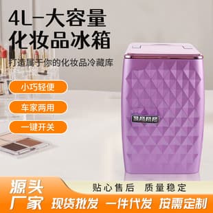 Custom Small Skincare Refrigerator Beauty Cosmetic Fridge Mini Cosmetic Refrigerator Car Refrigerator