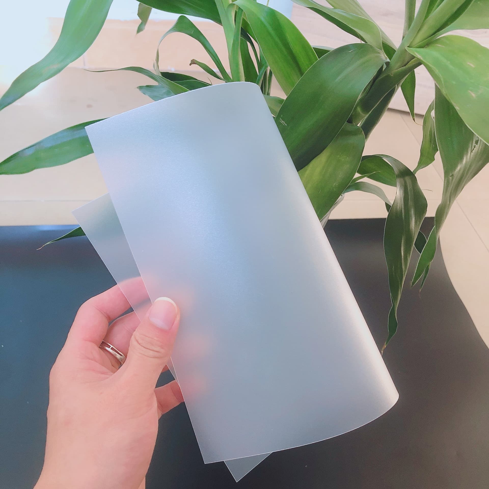 Double-sided frosted PP sheet rolls for luggage lining printing, shelf boards, flame-retardant eco-friendly natural PP plastic sheets