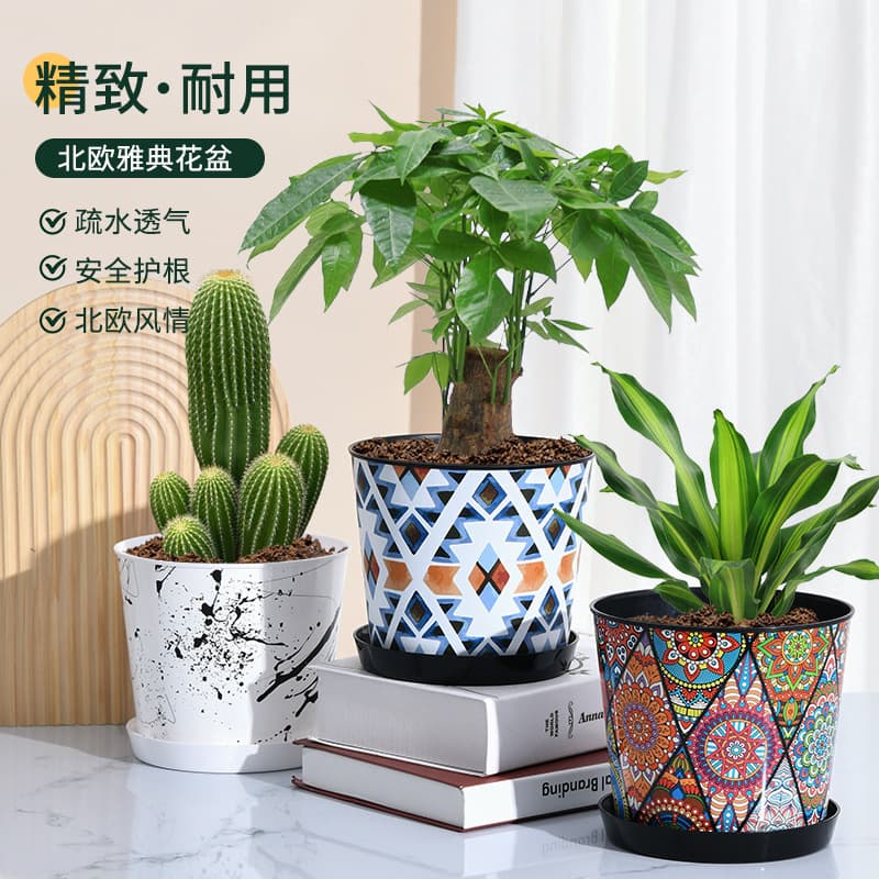Plastic Double-Layer Self-Watering Flower Pot with Visible Water Level, Creative Design for Pothos and Phalaenopsis, Factory Wholesale
