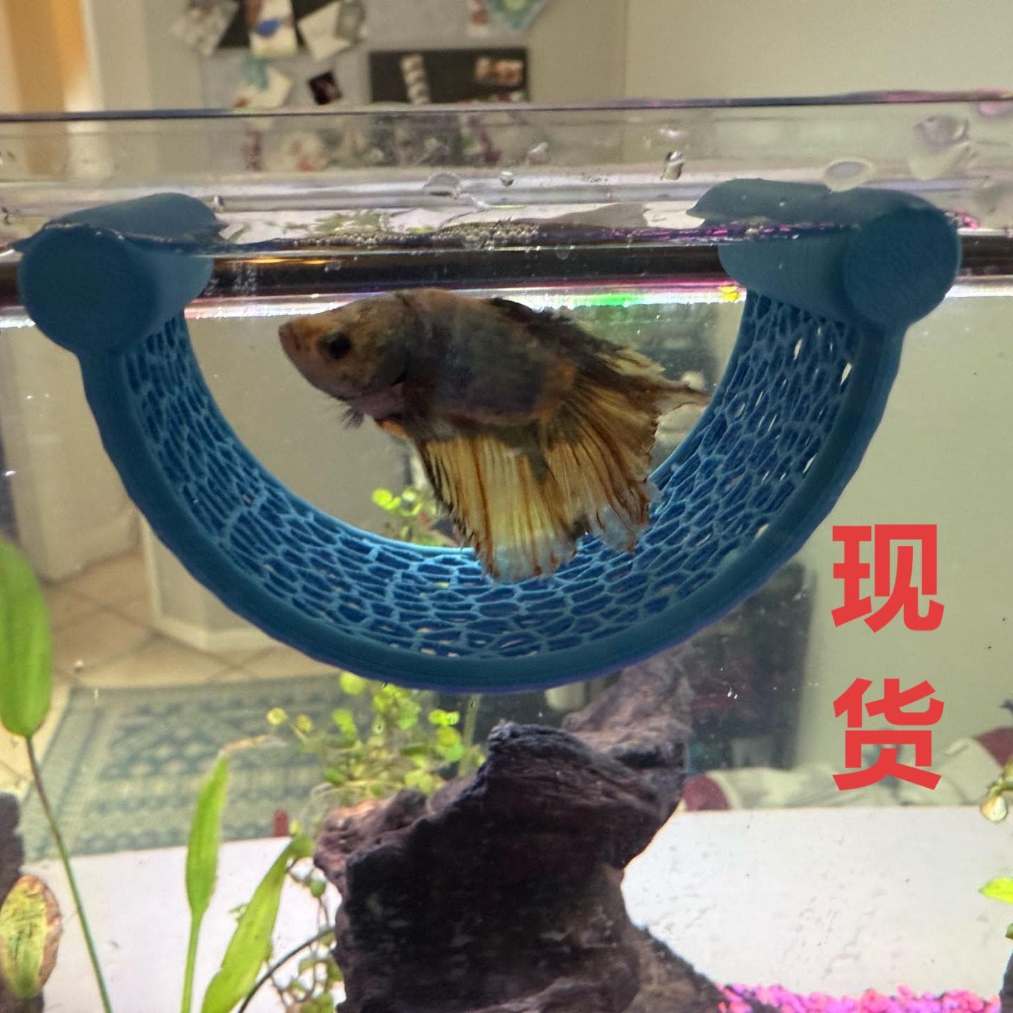 Floating Fish Hammock Betta Small Fish Rest Lounge Aquarium Tank Accessory Fish Rest Area