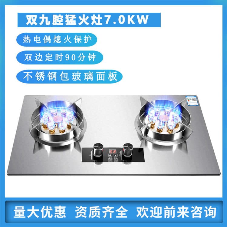 Gas Stove Dual Burner Home Natural Gas LPG Stove Flameout Protection Timer High Power Strong Fire Stove Factory Wholesale