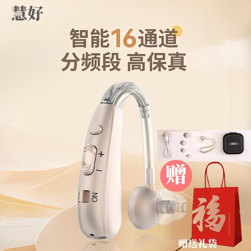 HuiHao 16-Channel High-End Smart Noise-Canceling Hearing Aid for Elderly with Hearing Loss, High-Power Hearing Aid