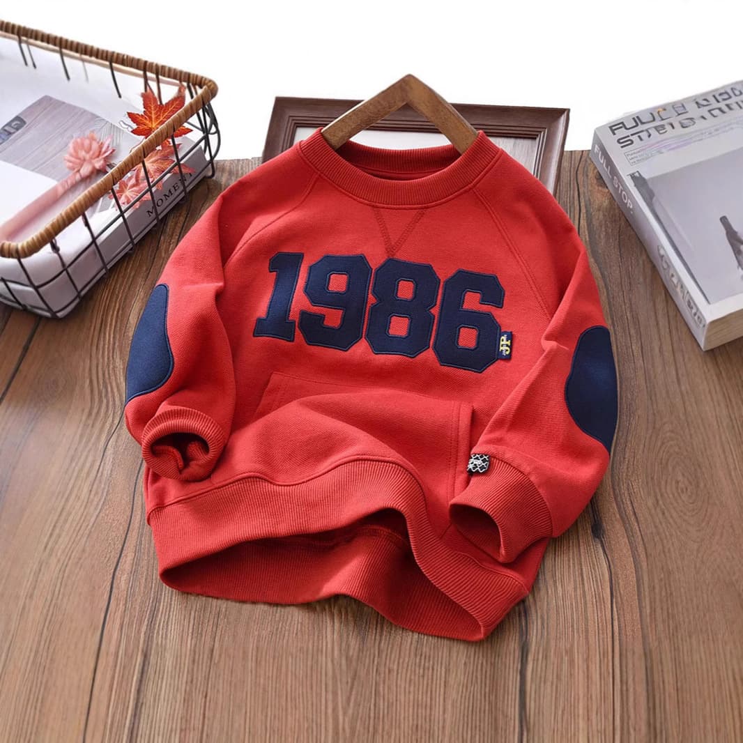 Boys' Sweatshirt 2025 Spring New Style Casual Korean Fashion Top for Middle and Big Children Autumn and Spring Pullover