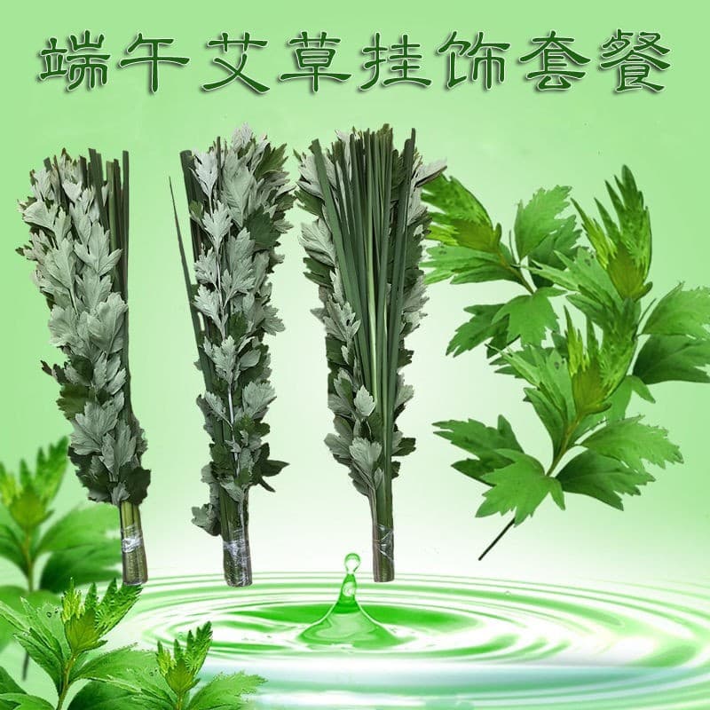 Fresh Mugwort Leaves for Dragon Boat Festival, Calamus and Mugwort for Foot Soak and Bath to Repel Mosquitoes, Mugwort Leaves for Hanging on Doors and Windows, for Pregnant Women and Postpartum Use