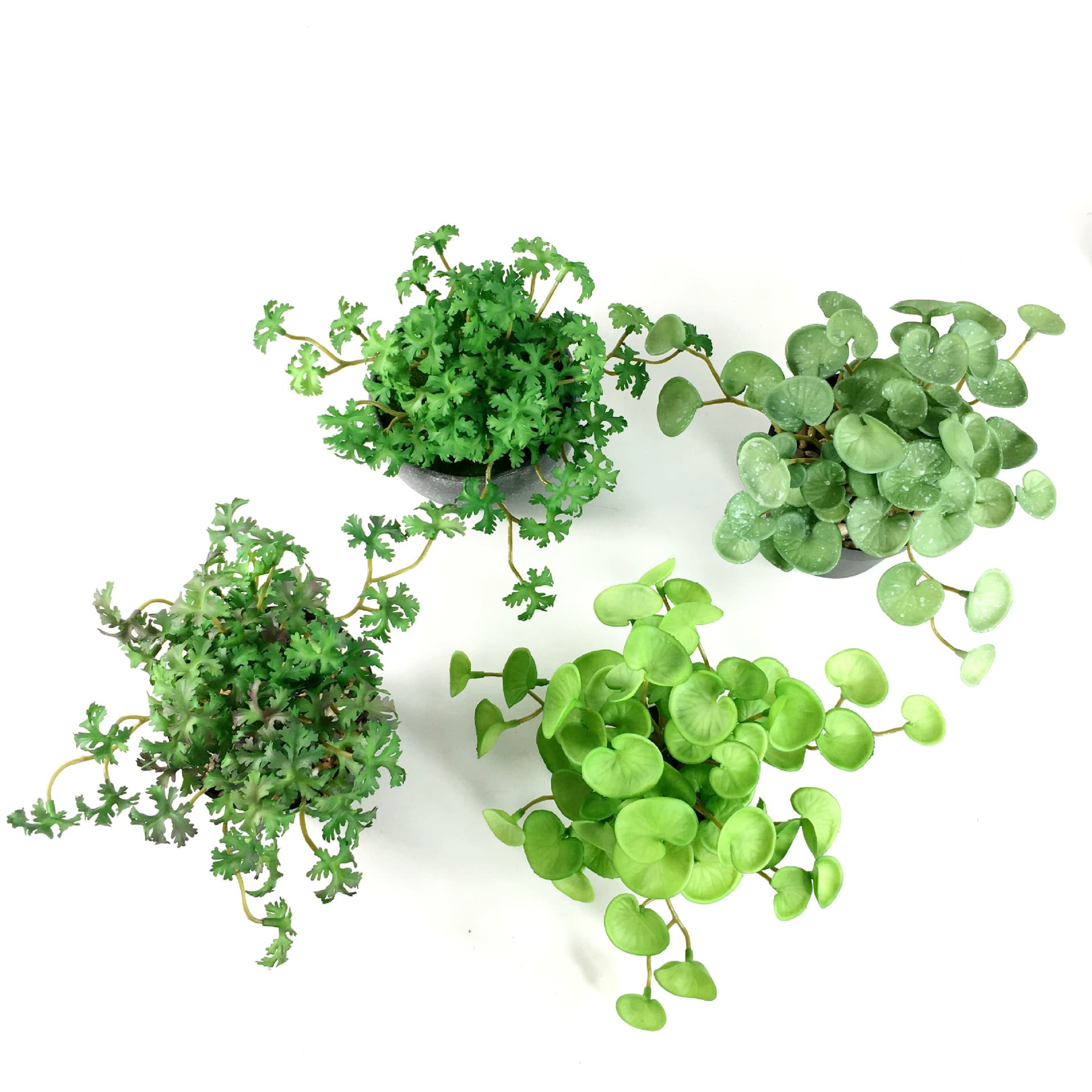 Realistic Succulent Cilantro Leaf Bouquet Plastic Green Plant Decoration Home Office Artificial Flower Arrangement