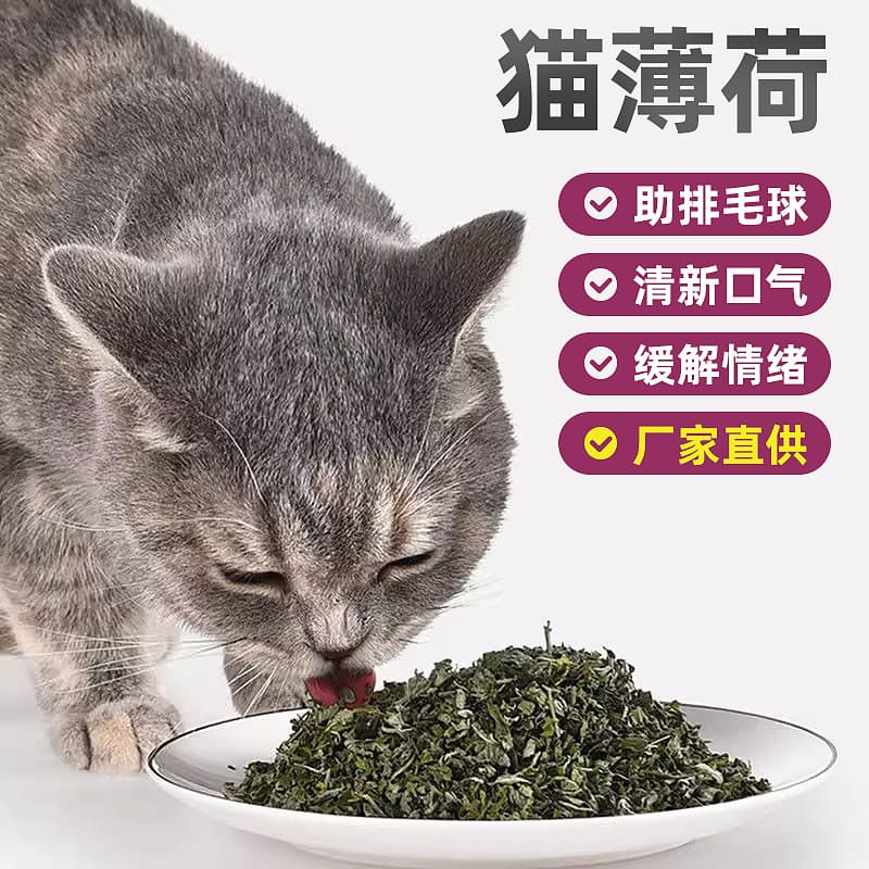 Catnip Powder Cat Snacks Wholesale Snacks Cat Grass Grains Cat Snacks Cat Grass Pet Food Catnip