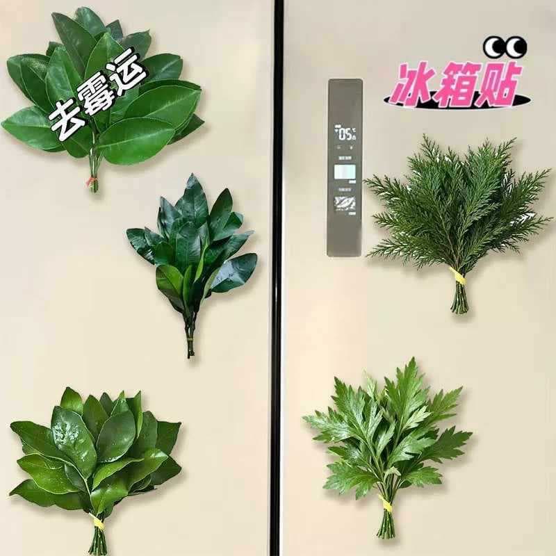 Pomelo Leaf Bad Luck Removal Fridge Magnet Lucky Acrylic Creative Niche Funny Gift Fridge Decoration
