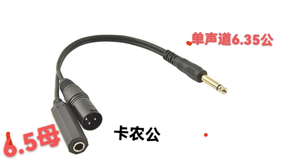 Mono 6.35 male one-to-two converter to dual XLR male and bus 6.5 microphone plugs to left and right channel XLR