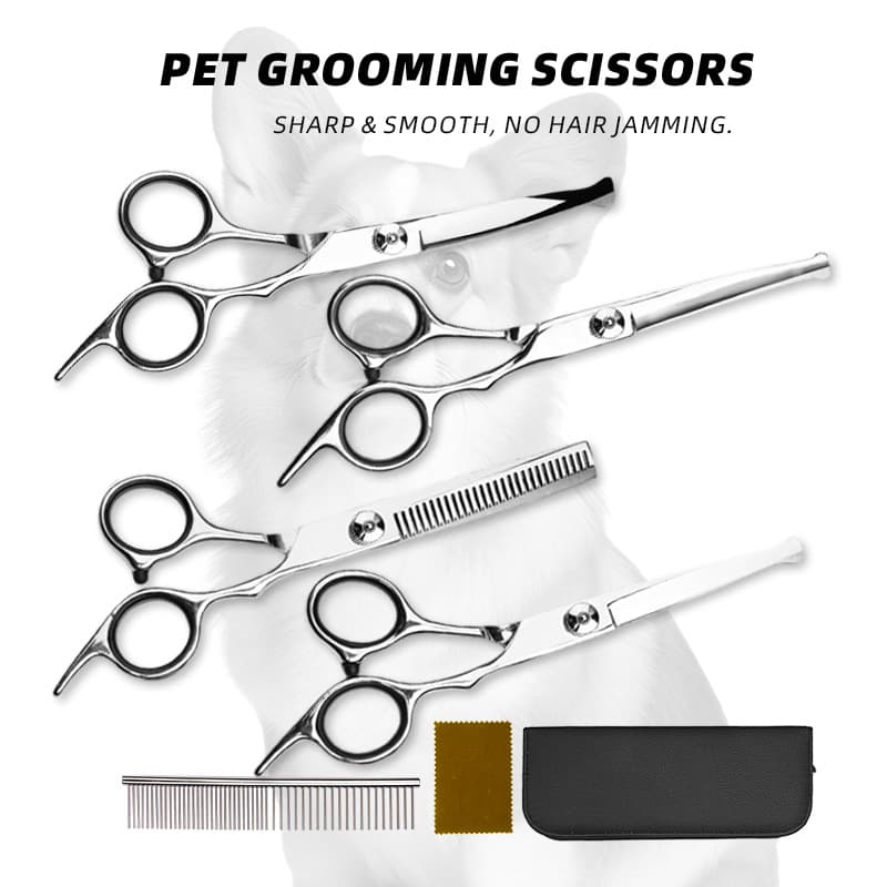 Home Pet Grooming Scissors Set Stainless Steel Cat Dog Hair Trimming Tools Flat, Tooth, Curved Scissors Factory Wholesale