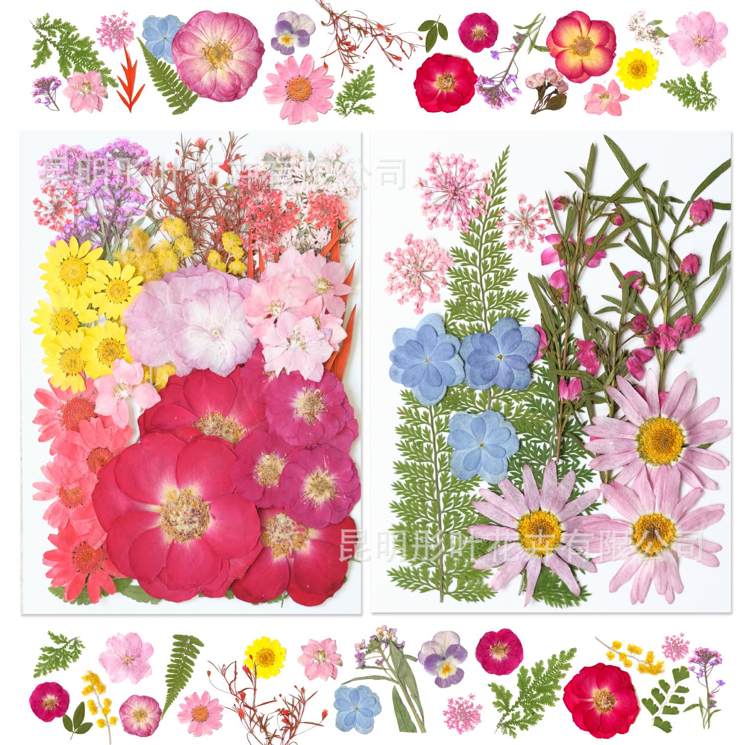 Pressed Flowers, Red Rose, Dried Flowers, Embossed Flower DIY Material Kit, Plant Photo Frame, Handmade Collage