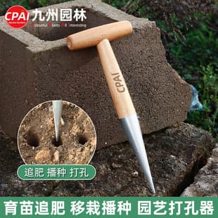 Stainless Steel Seed Sowing Dibber for Transplanting and Fertilizing, Gardening Tool for Vegetables and Flowers