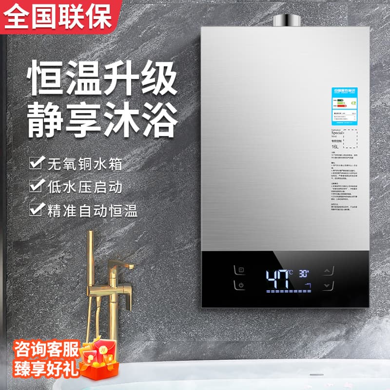Wholesale Natural Gas Water Heater Household Constant Temperature Forced Exhaust LPG Balanced Type 16L Zero Cold Water