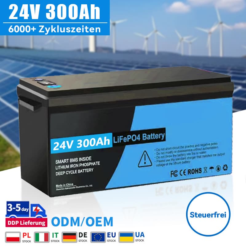 24V 300Ah Lifepo4 Batteriepack mit BMS 25.6V 100AH 200Ah 12V