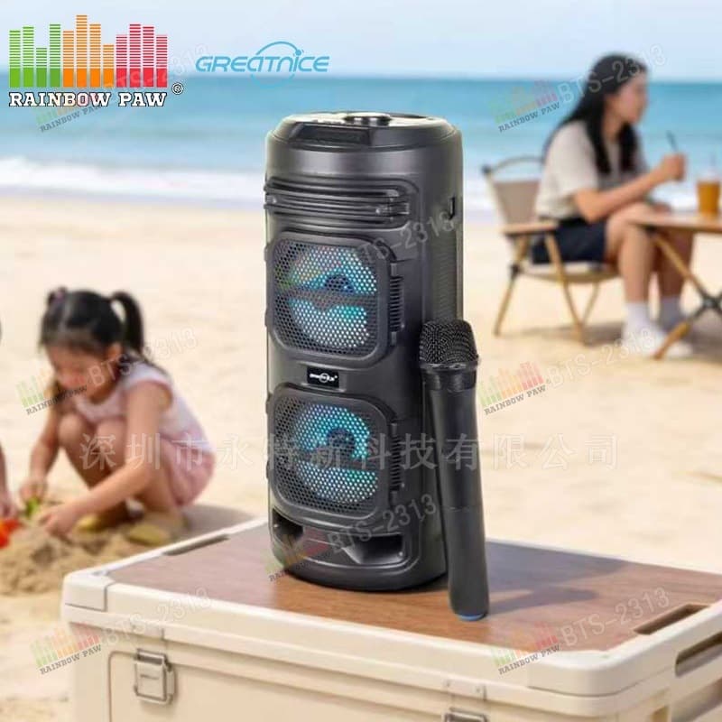 GTS KTS BTS Factory Wholesale GTS-2431 Dual 4-Inch Portable Outdoor Speaker with Wireless Microphone