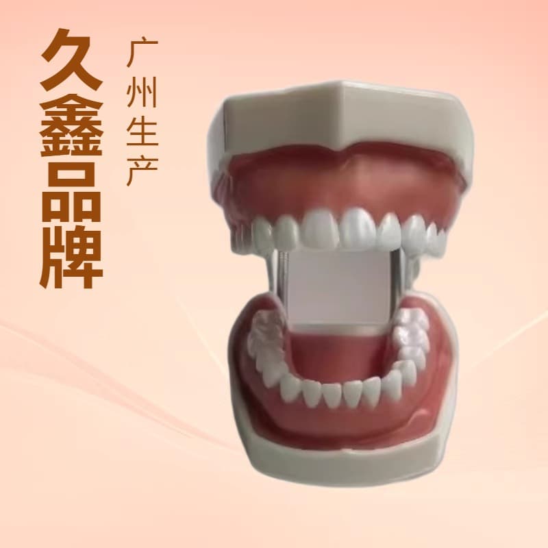 Dental Materials, Resin Dental Implant, Separated Particles, Dental Preparation Model, Root Canal, Gum Removal and Widening Model, Oral Restoration