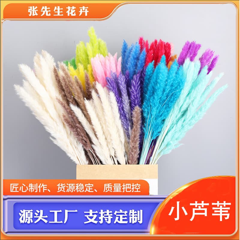 Pampas Small Reed Everlasting Flower Bouquet Wholesale, Dried Reed Grass Fluffy Pampas Flowers