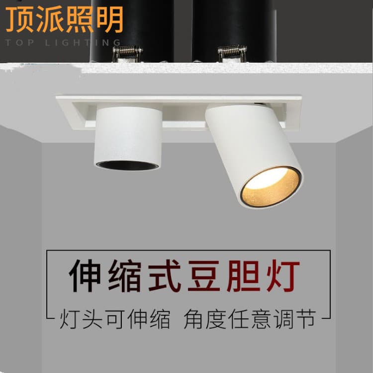 LED Single/Double Head Retractable Spotlight: Embedded Recessed Light, COB Adjustable Square Grille Light, Recessed Light