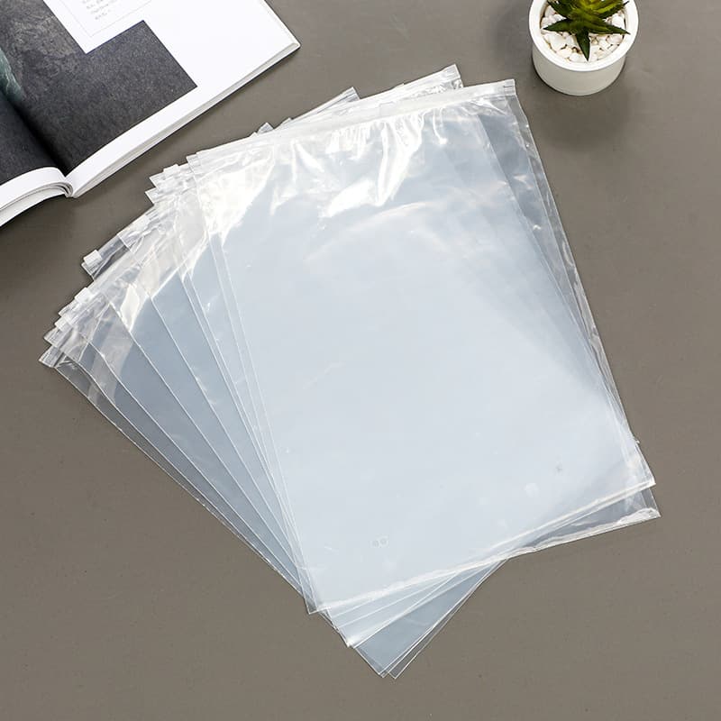 Transparent Frosted Zipper Bag Packaging Bag Pe Plastic Clothing Bag with Logo Printing and Custom Sealing for Clothes