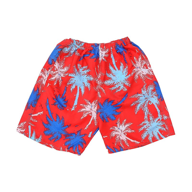 Men's Beach Shorts Quick-Dry Loose Thin 5-Inch Casual Sports Swim Trunks Wholesale