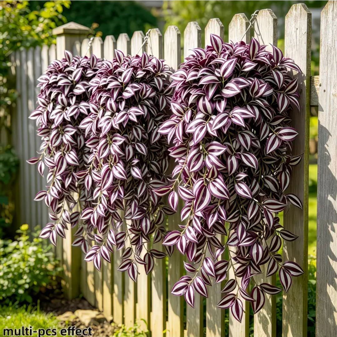 Simulated green plants, purple eyebrows, artificial flowers, rattan wall hanging plants, spider lilies, vines hanging, indoor wall hanging basket decoration