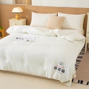 Winter Quilt, Washed Cotton, Xinjiang Cotton Quilt, Thickened Warm Spring/Autumn Blanket, Double Quilt, Quilt Core, Soybean Fiber Quilt, Winter Quilt Wholesale