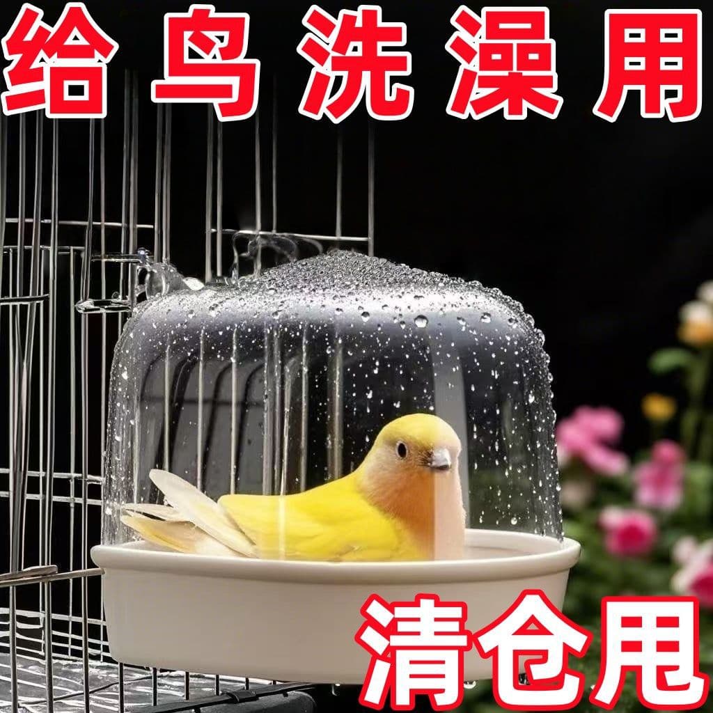 Large transparent bathing tub for birds such as mynas, cockatiels, budgies, and parakeets.