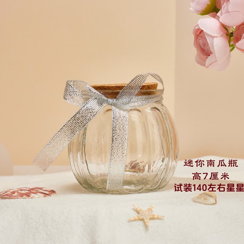 Glass Wish Bottle with Cork, Shells, Sand, Dried Flowers Storage Jar, Rainbow Bottle, Drifting Empty Bottle, Lucky Star Origami Banyan