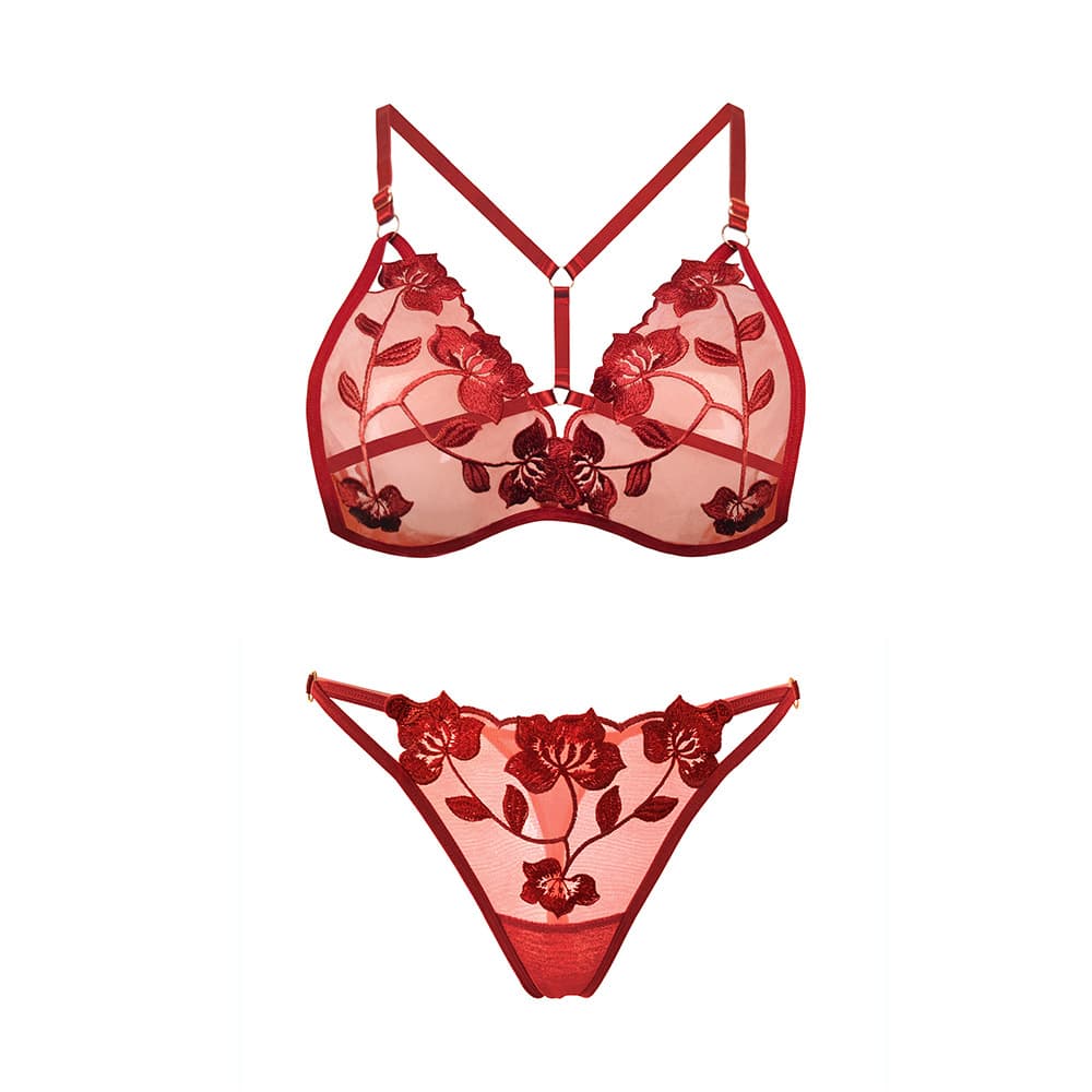 French-Style Sexy Lingerie, Ultra-Thin Embroidered Lingerie, Valentine's Day Gift, Transparent Bra and Thong Set, Hot and Sexy from the Manufacturer