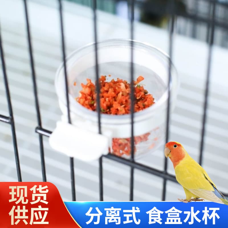 Soft food dish for birds separated jade bird hibiscus bird canary food bowl gold green gray swallow ten sisters civil bird parrot food box