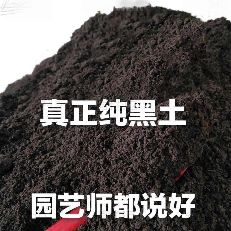 Nutrient Soil for Flowers, General Purpose Nutrient Soil for Balcony Vegetable Gardening, Black Soil, Flower Soil, General Purpose Type per Catty