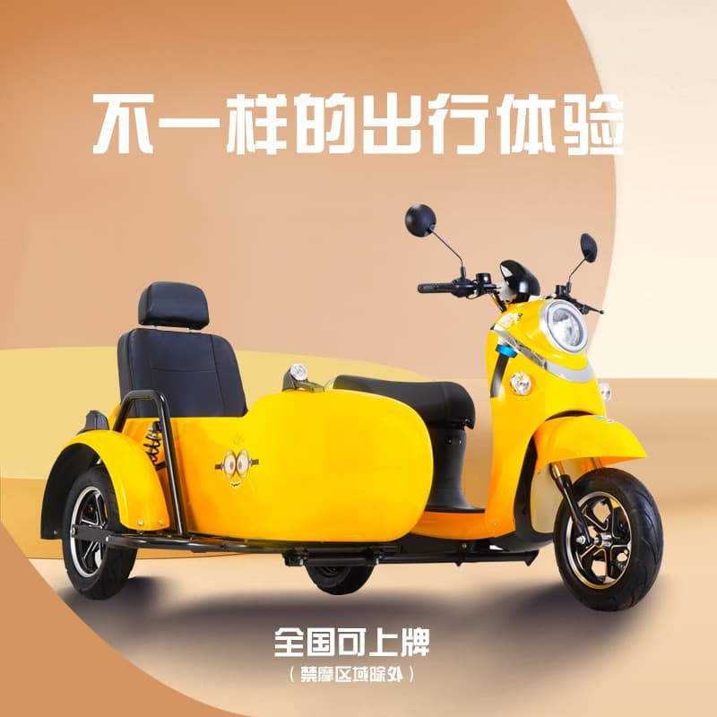 Little Turtle King Electric Sidecar Tricycle Baggage Car Pedal Electric Scooter Sidecar 72V Adult Electric Motorcycle