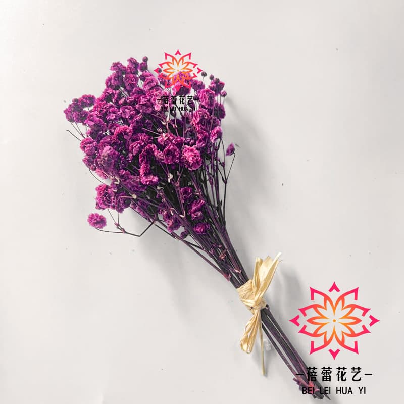Dried Flower Bouquet Finished Mini Bouquet Flower Gift Wall Decoration Hanging Floral Arrangement DIY Photo Frame Flower Materials