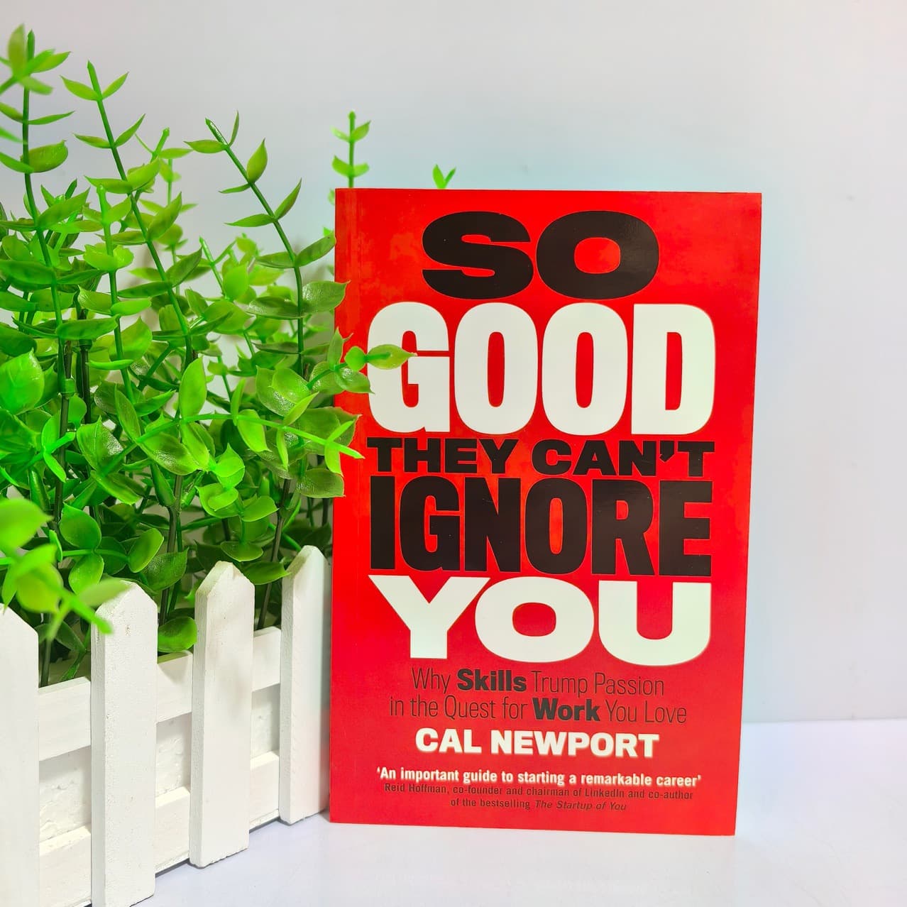 So Good They Can't Ignore You by Cal Newport (English Edition)