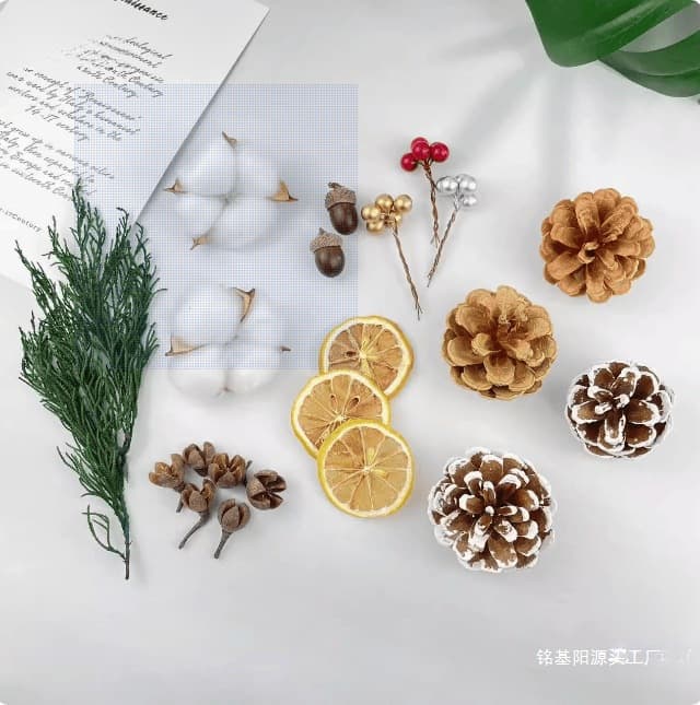 Dried Fruits, Pine Cones, Acorn Seeds, Decorative Plant Fruits, Handmade Dried Flowers, DIY Materials, Kindergarten Nature