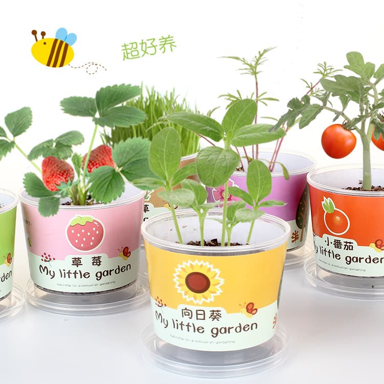 Little Bean DIY Children's Toys: Negative Ion Green Plants, Small Potted Hydroponic Bonsai, Desktop Mini Planters for Students