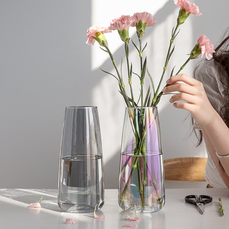 Xingxuan Simple Nordic Ins-style Glass Vase for Hydroponic Fresh Flowers, Small Creative Decorative Vase for Living Room