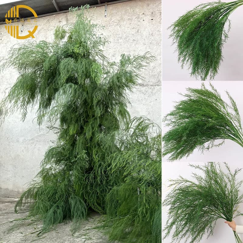 Artificial Asparagus Fern Greenery for Wedding Scene Decoration, Forest Green Fake Flowers, Wedding Hall Floral Artificial Grass