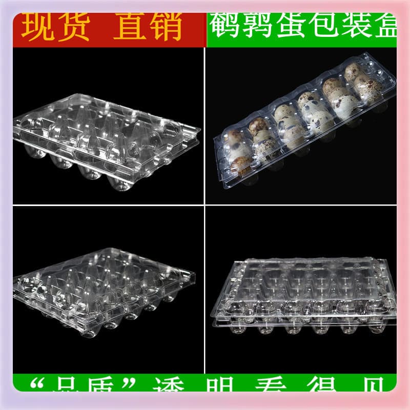 Quail Egg Packaging Box Transparent Blister Plastic Egg Tray Jaboticaba Packaging Box Factory Wholesale Universal Packaging