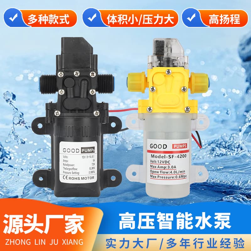 Car Washer Water Pump Electric Diaphragm Pump 12V High Pressure Car Washing Machine Electric Sprayer Accessories High Power Water Pump