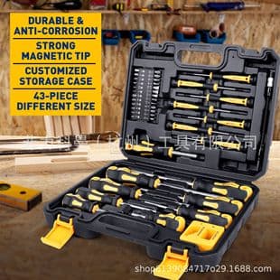 43-Piece Magnetic Screwdriver Set with Case, Phillips, Pozidriv, Slotted, Torx, Single Piece Sale